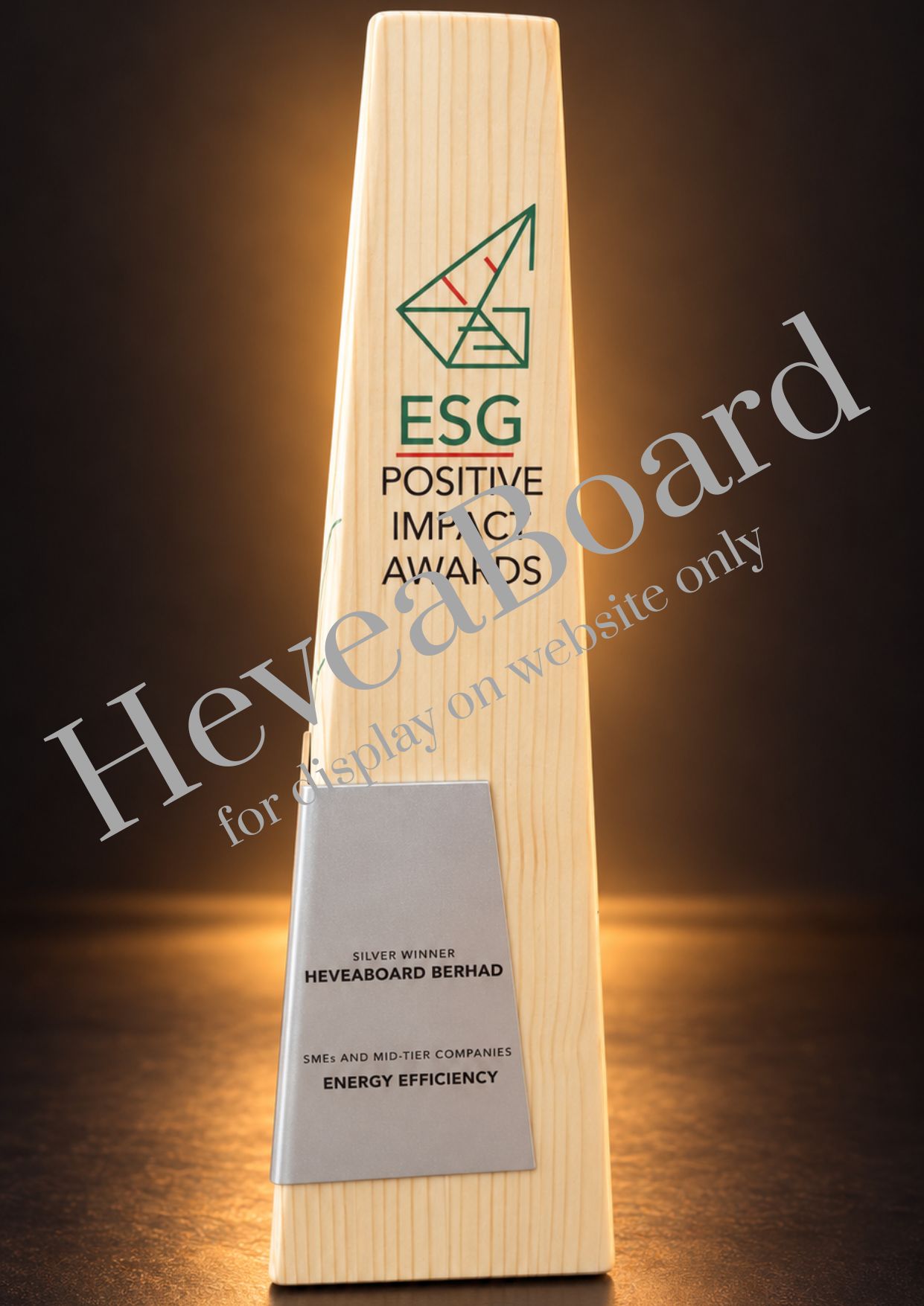 Silver Award – Energy Efficiency